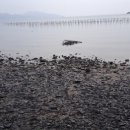 새남식당 이미지