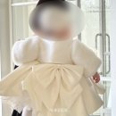 디어베베 - 미추홀구 | 돌잔치 준비 | 아오키베베 돌드레스 대여후기(내돈내산)