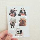 230913일상🕶️