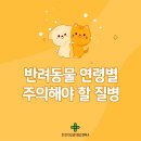 아이튼튼동물병원 이미지