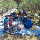 김기수 농장 이미지