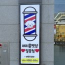 메리몰펫샵 이미지