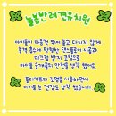 늘봄반려견유치원 이미지