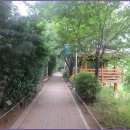 올레길 도심형 2코스 이미지