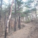 구례주유소 이미지