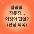 [서부] 건강밥상차리기 | 첫 고양이 키우기: 희로애락 후기