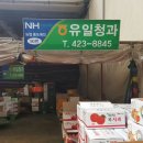 보람청과 이미지