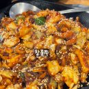 만천로 | 춘천 동면 맛집 참불쭈 통통한 쭈꾸미가 맛있는 곳 내돈내산 후기