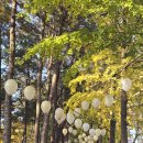 몇년만에................. 이미지