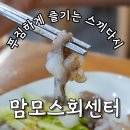 맘모스회센타23호