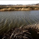 山川에서 이미지