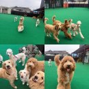 놀러오개 불로점 이미지