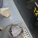 도깨비낚시터 이미지