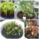 (주)오팍 이미지