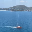 백호카랜드 | 베트남 나트랑 빈원더스 시간 빈펄랜드 워터파크 동물원