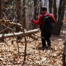 505m) 뽕따리봉[1](576m) 뽕따리봉[2] (681m) 시루봉(492m) 정자산(233m) 송동뒷산(241m)/ 충북 괴산 8 산