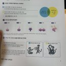 오로지라멘 판교대장LAB | 여름밤의 꿈