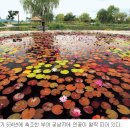 역사재현단지기능촌문화관 이미지