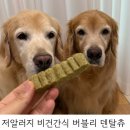 (주)올네이쳐 | 비건치석제거 강아지양치껌 버블리덴탈츄