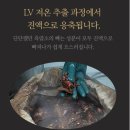 온의 경로당 | 두분의 엄마에게 드리는 선물