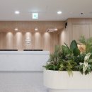 나우메디 이미지