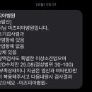 샬로미 이미지