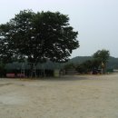 난정초등학교 Daum카페