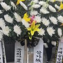 주식회사 글로브포인트 이미지