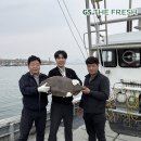 더프레시 이미지
