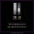 833003 이미지