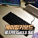 새(SE) | 게이밍 키보드 끝판왕 로지텍 G413 TKL SE 사용 후기