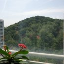 OK신성부동산공인중개사사무소 이미지