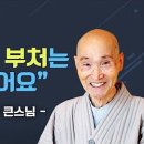 다시보는 명법문/동영상 31개/ 청화스님 이미지