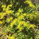 송촌2리 마을회관 이미지