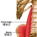 헬스보이짐 앤 필라걸 용문역점 이미지