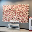 봄그리고가을리조트 이미지