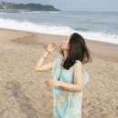 다이안 이미지