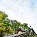 정뇌경 묘지석 및 함 이미지