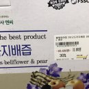 리퍼브새삥 이미지