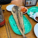 우리호프(만선호프)주 | 을지로 만선호프 원조 야외호프 야장 루프탑 평일 웨이팅 후기