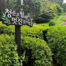 김종철 시비 이미지