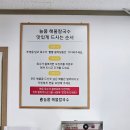 늘품해물칼국수 이것저것 다양하게 먹어본 후기