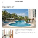 한아름애견 | 제주 휘닉스 아일랜드 C동 로얄룸 34평 펫객실 제주애견동반호텔