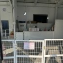 댕스라이프 이미지