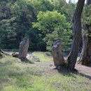 영주청구리입석 이미지