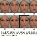새황금 이미지