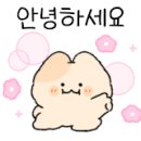 뉴발란스키즈청주 이미지