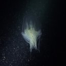 남해-284 이미지