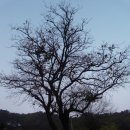 상중리상촌 이미지