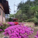 청산한옥계곡펜션 | 문경펜션 청산한옥계곡펜션에서 1박2일 자연 속 힐링여행